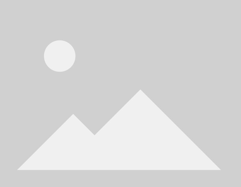 Gray placeholder image with a circle and triangle representing a sun and mountains.